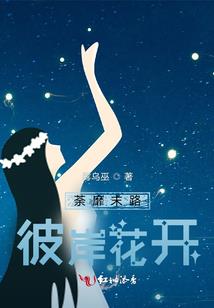 穿越之强悍王妃