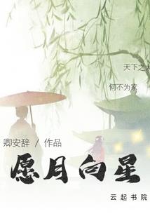 雨寂