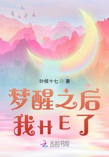 宋朝侦探