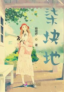 北回归线的夏至