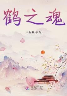 灌木