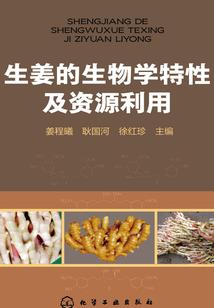 黑童话故事
