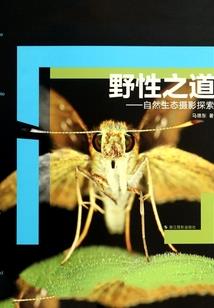 灵心神谕