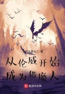 海贼王之时空传承