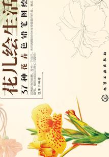 大少的征程