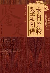 仙帝之主