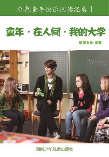 极品美女保护系统