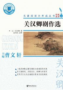 双生影