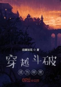 神奇宝贝之飞龙使者阿英