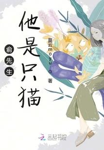 武侠之神捕乱世