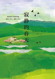 当爱你成为回忆
