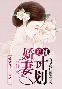 梦的江湖