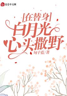 我有一只狐狸妻