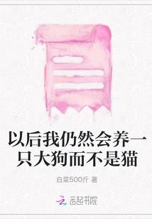 梦案