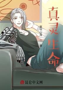 霁月惊鸿传