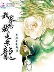 凤凰于妃：缘断再生