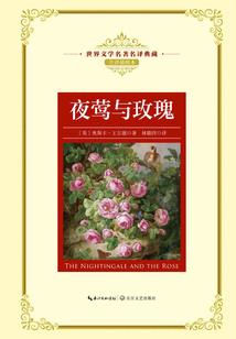 倾天下：一生一世一双人
