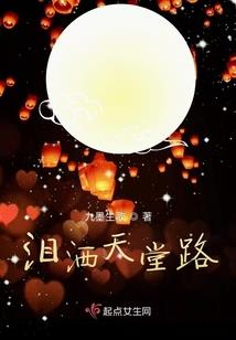 重生之崛起2009
