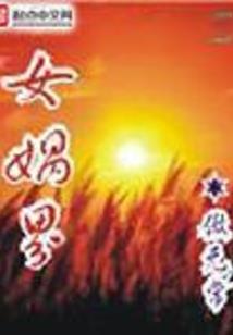 神辉圣队