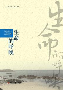 宛笑江湖情