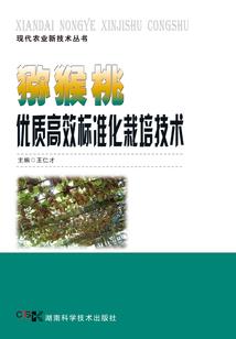 黑色夜空
