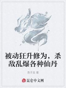 枪神纪之最佳拍档
