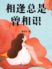都市之无敌升级系统