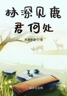 熠少追妻之黑客大人是女人