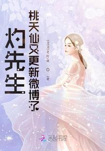 暗光之翼
