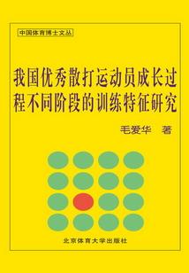 一拳风暴