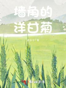琉璃骨花石