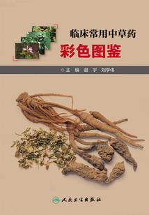 辉耀的彩色二