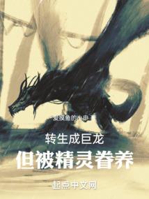九世诛邪轮回传