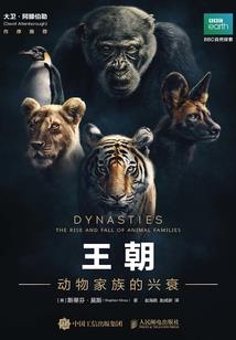 玉人传说之神魔天下