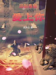 斜阳孤雁