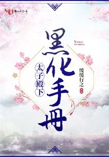 星火大盗