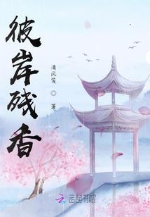 灭天—神之境界
