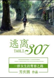 文娱大盗