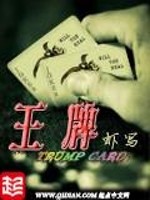 夕阳舞刀