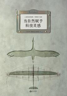 湛家三姑娘