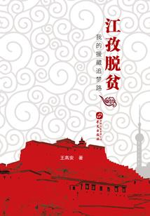 海贼王之沈藤的航海之旅