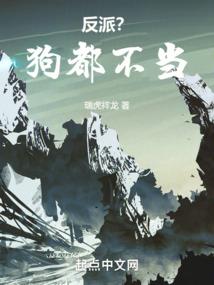 精灵：冠军系统穿越