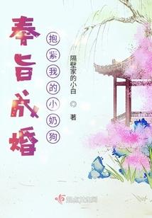 枪神纪之最强整备师