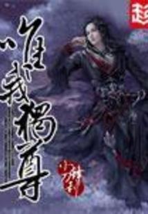 穿越指南之四爷求放过(合作)