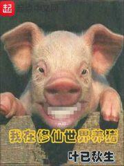 魔法时代之航海传奇