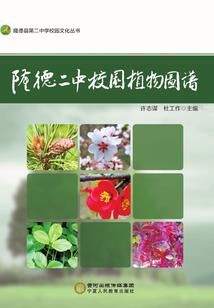 年少时的放不下