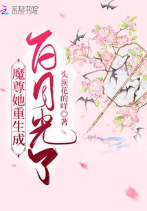宛若天堂