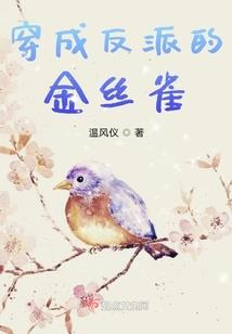 随便记记