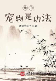 夏天的流水年华