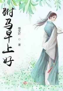 可行道